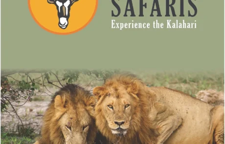 Professional Brochure Design - De Klerk Safaris Case Study - De Klerk Safaris Brochure A4 2026 Page 01