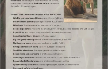 Professional Brochure Design - De Klerk Safaris Case Study - De Klerk Safaris Brochure A4 2026 Page 05