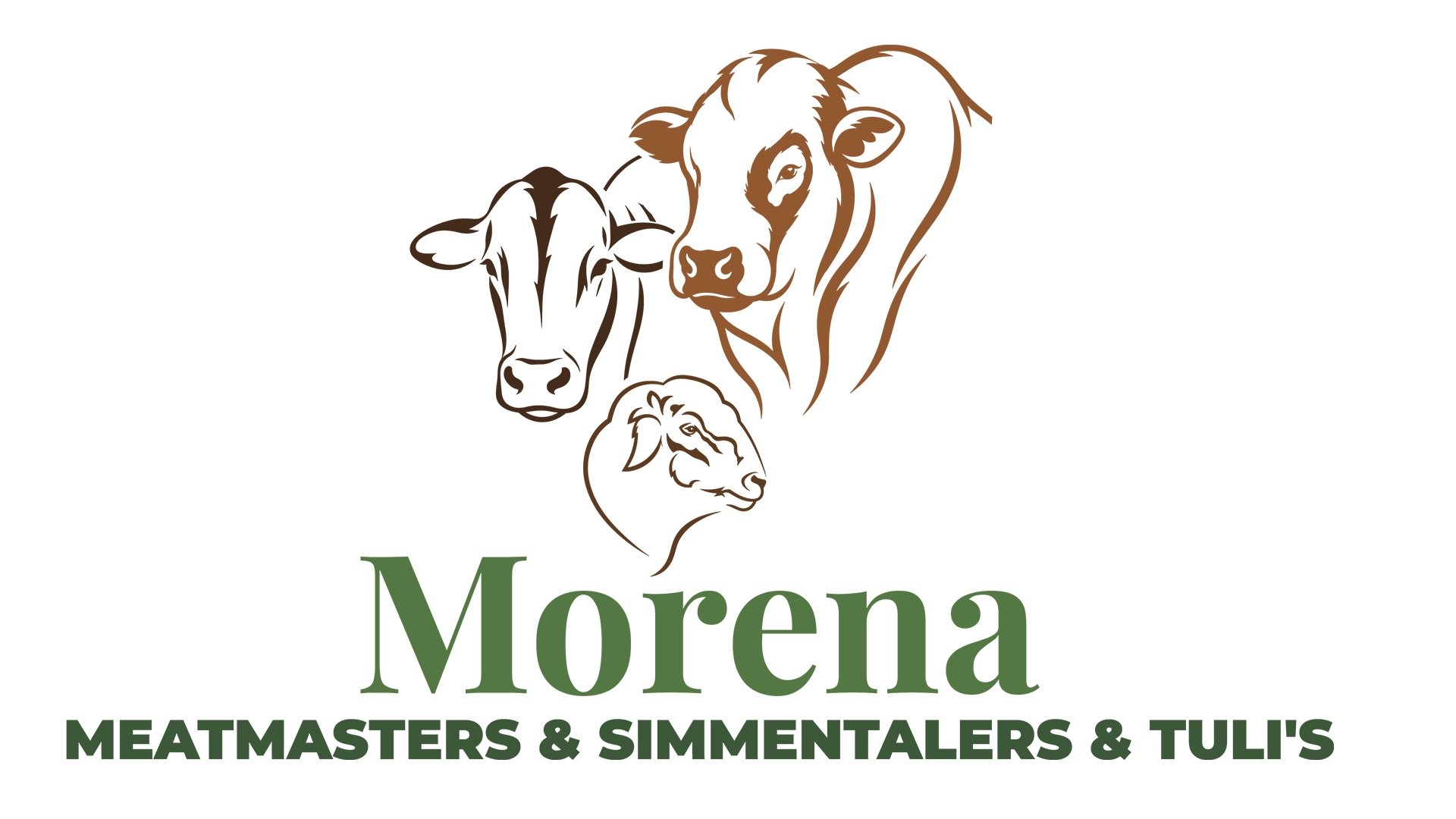 Morena Meatmasters, Simmentalers & Tulis – 01 Morena Brand Identity Case Study | Livestock Logo Design - Morena Meatmasters Simmentalers Tulis 01