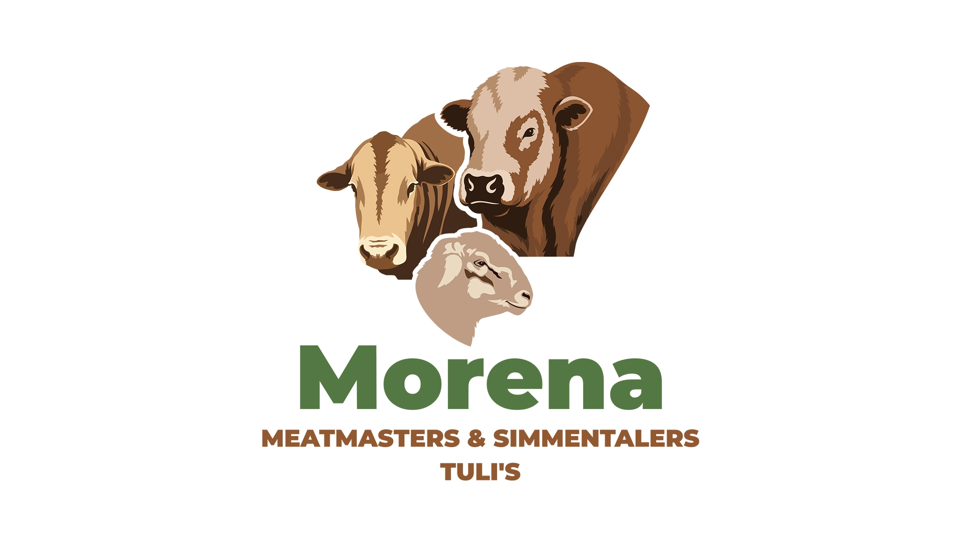Morena Meatmasters, Simmentalers & Tulis – 03 Morena Brand Identity Case Study | Livestock Logo Design - Morena Meatmasters Simmentalers Tulis 03